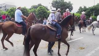 Cabalgata Horse Parade at the Feria de las Flores Flower Festival in Medellin Colombia [upl. by Fredella909]