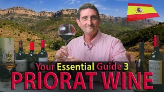 Are Priorat Wines Any GOOD  A Spanish Wine Story [upl. by Sergu358]