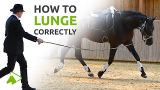 Lunging with the Cavesson or Bridle  What you need to know  wehorse [upl. by Budworth]