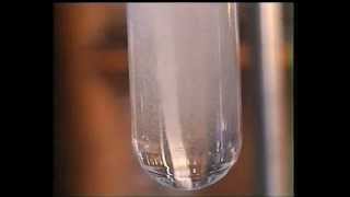 Magnesium In Sulfuric Acid [upl. by Blodget]