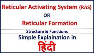 Reticular Activating System RASReticular Formation Structure amp Function in Hindi Bhushan Science [upl. by Graehme761]