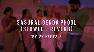 sasural genda phool l Slowed Reverb l Delhi06 l Abhishek Bachchan l Sonam Kapoor [upl. by Eisenhart]