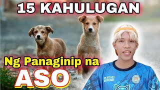 15 KAHULUGAN NG PANAGINIP NA ASO  PANAGINIP MO INTERPRET KO [upl. by Nerual]