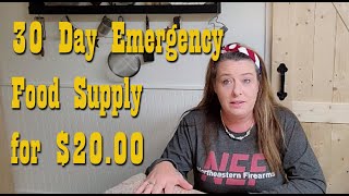 EMERGENCY FOOD STORAGE AND PREP  Easy Meals From Shelf Stable Ingredients FOR CHEAP [upl. by Erbma324]