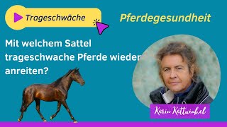 Wiederanreiten trageschwacher Pferde  Pferdegesundheit  Karin Kattwinkel [upl. by Kalila]