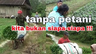 Melihat kegiatan para petani di sore hari  aktifitas petani di pedesaan [upl. by Trebled226]