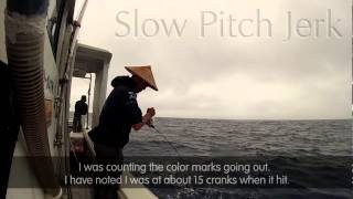 Slow pitch jigging Japanese Anglers Secrets [upl. by Landa610]