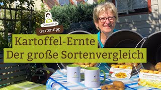 Erste Stichprobe KartoffelErnte und Sortenvergleich [upl. by Wiburg]