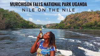 Uganda  Nile on the Nile  Murchison Falls National Park [upl. by Ecnerwal]