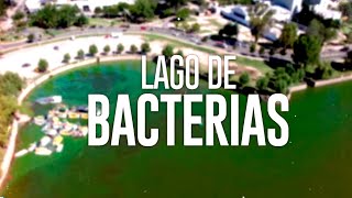 LAGO DE BACTERIAS el lago San Roque teñido de verde por las cianobacterias [upl. by Naga]