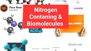 Nitrogen containing compounds and Biomolecules [upl. by Erinna]