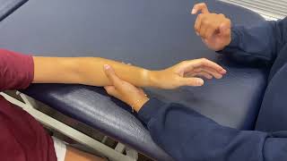 Extensor Carpi Radialis Longus amp Brevis Manual Muscle Test [upl. by Nayb]