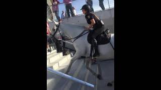 Caballos Policia en el Wanda Metropolitano subiendo por las escaleras con total destreza SHORT [upl. by Wilde]