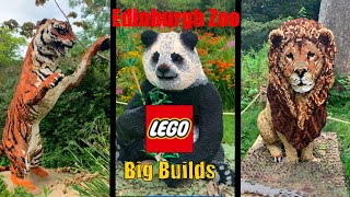 LEGO Giant Builds at Edinburgh Zoo [upl. by Atiuqram]