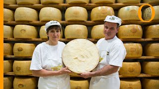 Parmigiano Reggiano how the King of Italian cheese is made [upl. by Osnola201]