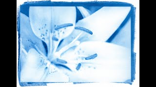 Making a New Cyanotype  Start to Finish [upl. by Haroppizt]