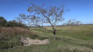 Schiermonnikoog [upl. by Ahsenom]