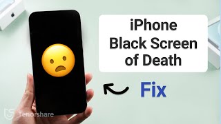 My iPhone Screen is Black But Still Works  Black Screen of Death 3 Ways [upl. by Wes]