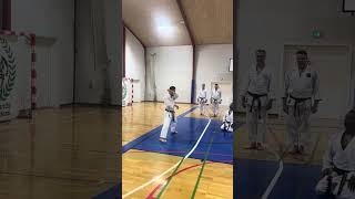 YamaguchiSensei demonstrating the beginning of kata Junro shodan [upl. by Bunder]