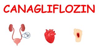 Canagliflozin invokana tablets  For diabetes amp heart failure [upl. by Cid]