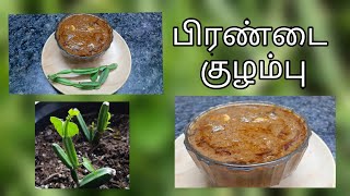 Pirandai Kulambu Recipe  FDF TAMIL [upl. by Nylcoj]