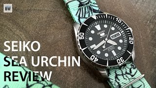 Seiko Sea Urchin Review SNZF17 Affordable 5 Sports Beater [upl. by Isewk327]