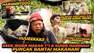 DEDE INOEN MAKAN KOTORAN DAN KUMIS HARIMAU  PUNCAK RANTAI MAKANAN TERTINGGI MEMBUKTIKAN POSISINYA [upl. by Carolina]