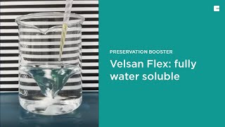 Velsan Flex  Multifunctional preservation booster  Solubilizer [upl. by Neelhsa]