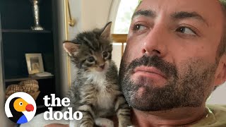 PhoneSized Kitten Turns Guy Into A Cat Person  The Dodo [upl. by Iong]