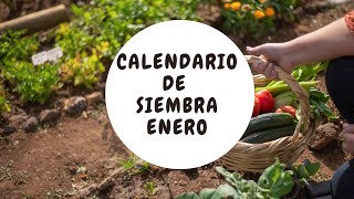 Calendario siembra Enero Sur y Norte [upl. by Major]