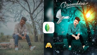 Snapseed Green And Bird Effect Photo Editing Tutorial  Snapseed Background Colour Change Tricks [upl. by Hayyifas]