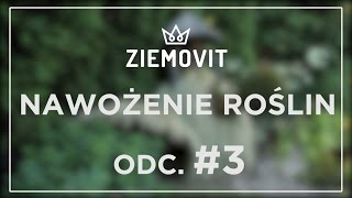 Nawożenie roślin  Niech żyje ogród Odcinek 3 [upl. by Couchman]