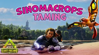 Best Sinomacrops Tame Location and How To  ARK Lost Island [upl. by Durand828]