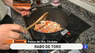 Segunda receta de rabo de toro ED [upl. by Anelaf78]