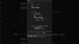 Nested Structs golang golangtutorial basic basicsofgolang programming coding code structure [upl. by Breen]