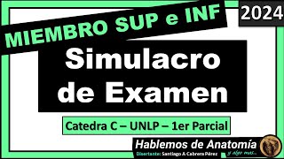 🔴👉SIMULACRO DE EXAMEN  MIEMBRO SUPERIOR Y MIEMBRO INFERIOR 🟪 ANATOMIA C  2024 [upl. by Harod724]