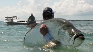 Huge Tarpon Caught On Fly [upl. by Ennayelhsa]