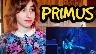 KPOP FAN REACTION TO PRIMUS [upl. by Dougherty]