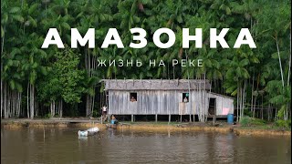 Амазонка Жизнь на самой длинной реке мира [upl. by Adleremse728]