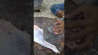 Amazing Cutting Skillls  Big Goat Leg Cleaning amp Cutting By Expert Goat Meat Cutter shorts [upl. by Rickert375]