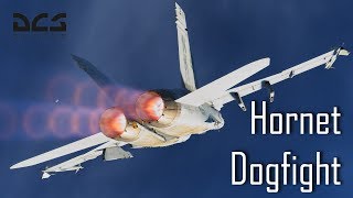 FA18 Hornet  DCS Pure Dogfight [upl. by Redienhcs566]