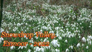 Snowdrop Valley [upl. by Ardnaxila260]