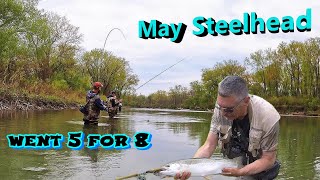 May the 4th Steelhead Slam  5 for 8 hookups [upl. by Eerahc]