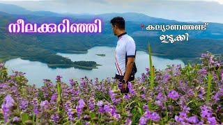 നീലക്കുറിഞ്ഞി 24  ഇടുക്കി 💜  One Day Cycling To Idukki  220 kms  Kalyanathandu Hills [upl. by Lundeen]