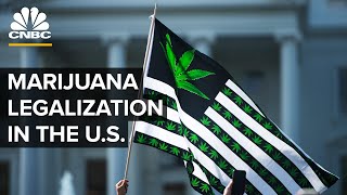 Is Marijuana Legalization Inevitable In The US [upl. by Meirrak634]