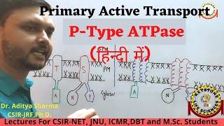 Types of active transport primary active transportP type ATPase by Dr Aditya Sharma Free lecture [upl. by Tra]