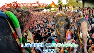 പഴഞ്ഞി ഗജസംമം 2023🔥🔥  Pazhanji Gajasangamam 2023  ഇത് രാജാഗീയം 🔥🔥🔥 [upl. by Alebasi131]