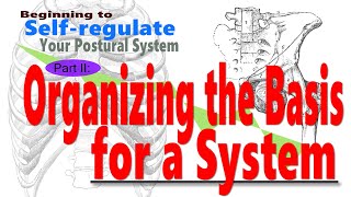 Beginning to Selfregulate Your Postural System Part II Organizing the Basis for a System [upl. by Aran]