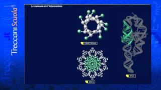 RNA e DNA a confronto [upl. by Adali]