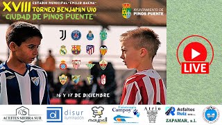 XVIII Torneo Benjamín quotCiudad de Pinos Puentequot FASE DE GRUPOS DOMINGO CAMPO 2 [upl. by Yrgoerg]